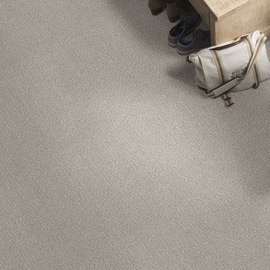 Shaw Bellera Secret Passage 5E279 Residential Carpet Room Scene