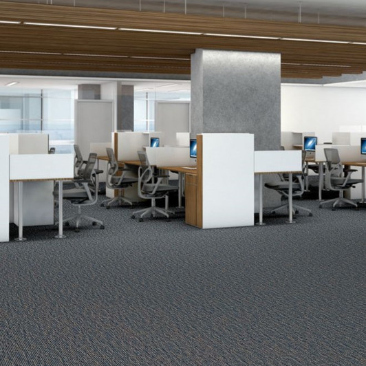 Shaw Philadelphia Fundamental 54922 Commercial Carpet Room Scene