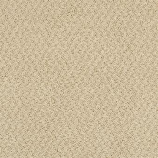 Masland New Hope 9478 Residential Carpet