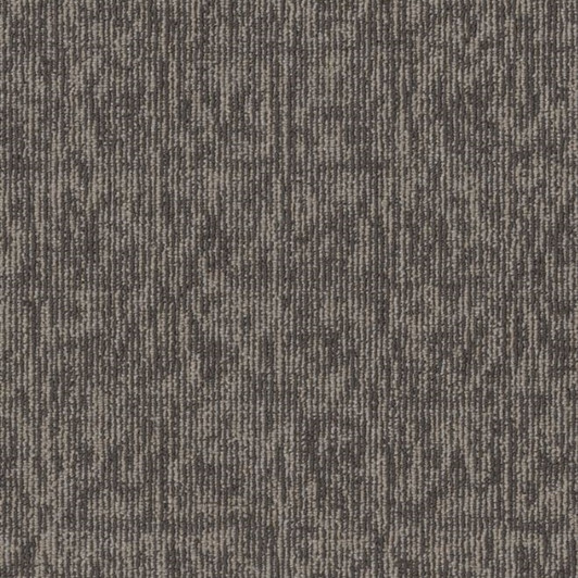  Shaw Philadelphia Fundamental Elemental 54921 Commercial Carpet Tile