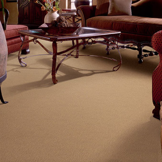 Masland Panache 9431 Nylon Residential Carpet Room Scene