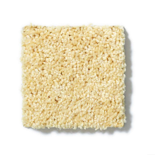 Shaw Kids Rule EA128 Residential Carpet