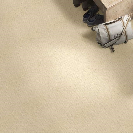 Shaw Westminster E0117 Residential Carpet Room Scene