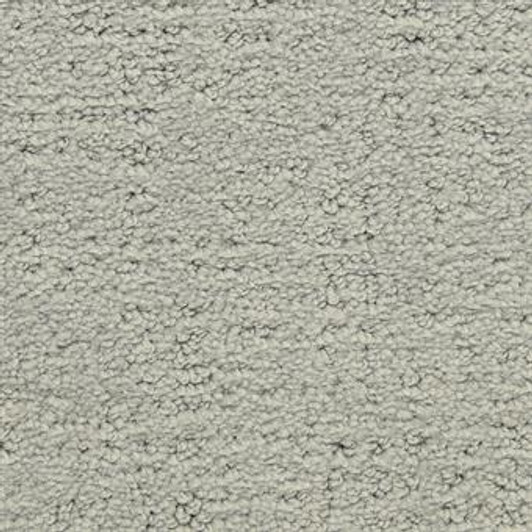 Masland Santa Barbara 9590 StainMaster Residential Carpet