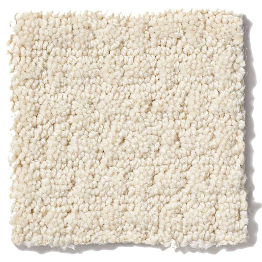 Shaw Anso Originals Kick Off EA501 Residential Carpet