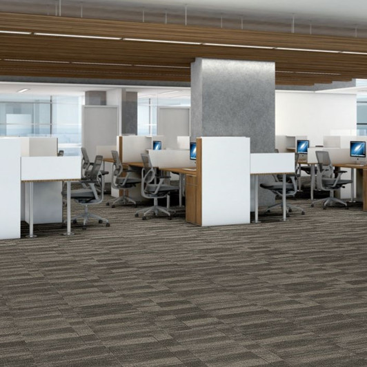 Shaw Philadelphia Natural Formations Ridges 54834 Commercial Carpet Tile Room Scene