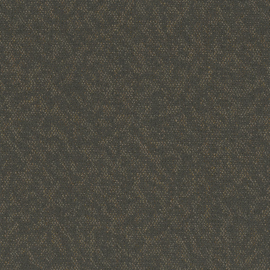 Engineered Floors Animated 7040T Commercial Carpet