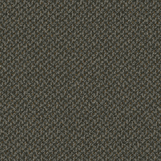 Engineered Floors Outlaw 3053B Commercial Carpet