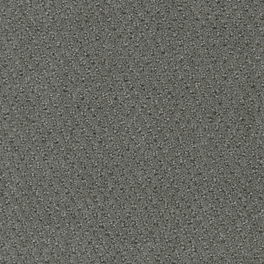 Engineered Floors Pentz Domain 3051B Commercial Carpet