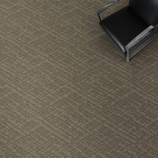 Masland Vitality 9610 Nylon Residential Carpet Room Scene