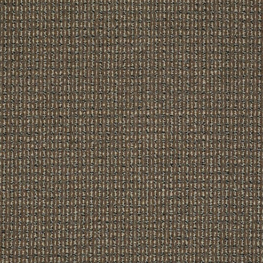 Shaw Philadelphia Sourcebook III On the Move 54801 Commercial Carpet