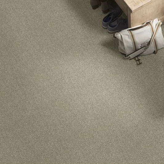 Shaw Simply the Best Cabana Life (T) E9958 Residential Carpet Room Scene