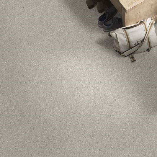Shaw Simply the Best Vastly 5E324 Residential Carpet Room Scenes