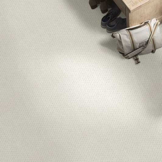 Shaw Foundations Formalize 5E291 Residential Carpet Room Scene Shaw Foundations Formalize 5E291 Residential Carpet Room Scene