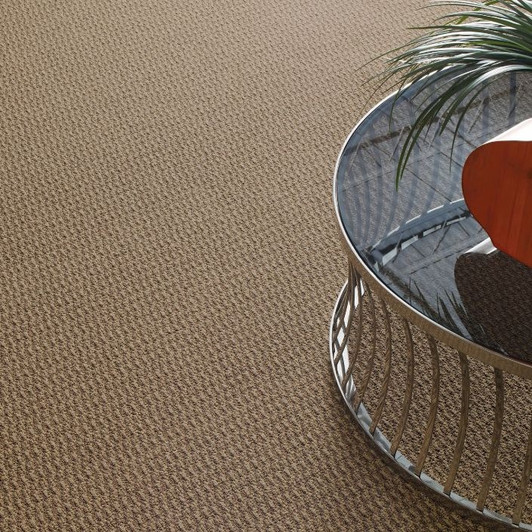 Shaw Philadelphia Tandem In Harmony 54578 Commercial Carpet Room Scene