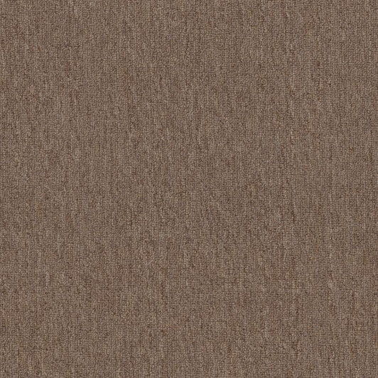 Shaw Philadelphia Net Terms Big Bang! 54585 Commercial Carpet