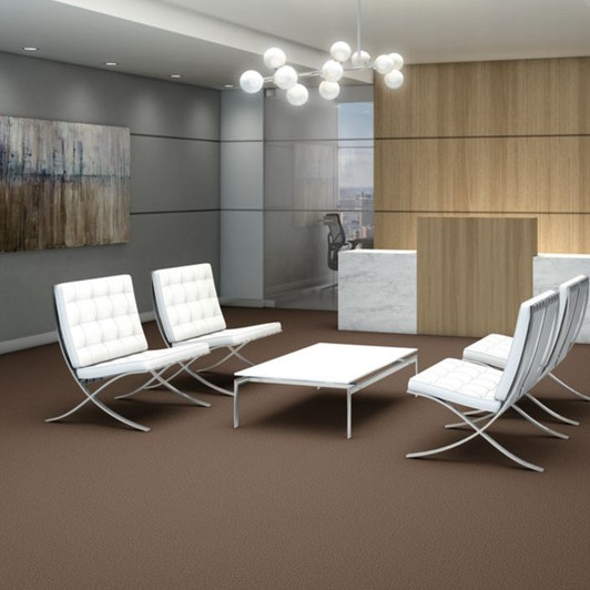 Shaw Philadelphia Net Terms Big Bang! 54585 Commercial Carpet Room Scene