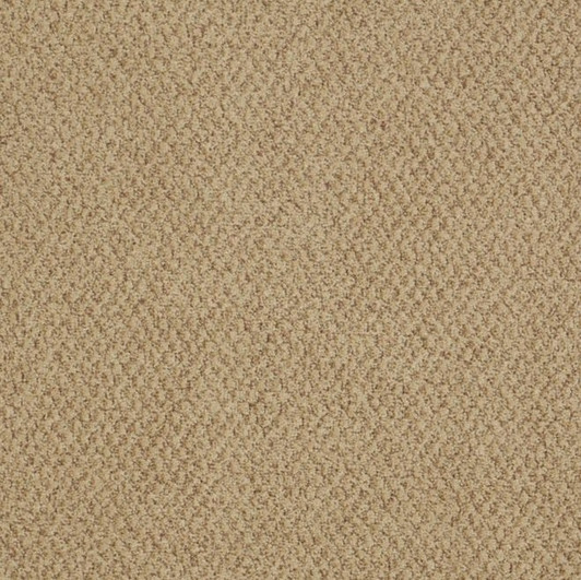 Shaw Philadelphia Snapshot Gather 54740 Commercial Carpet