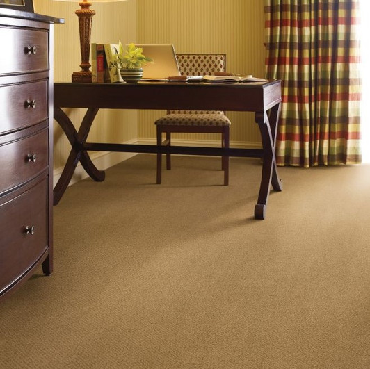 Shaw Philadelphia Snapshot Gather 54740 Commercial Carpet Room Scene