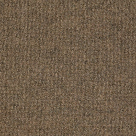 Shaw Philadelphia Bedecked 54689 Indoor/Outdoor Carpet