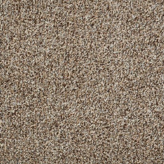 Shaw Philadelphia Arbor View T 54625 Indoor Outdoor Turf Carpet