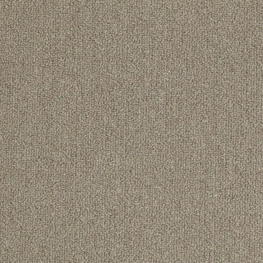 Shaw Philadelphia Outside Agenda 54638 Indoor Outdoor Turf Carpet