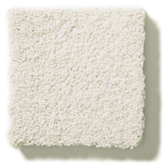 Shaw Simply the Best Montage II 5E099 Residential Carpet