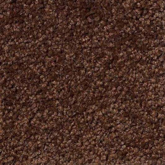 Shaw Timeless Appeal III 12' Q4314 Residential Carpet Design