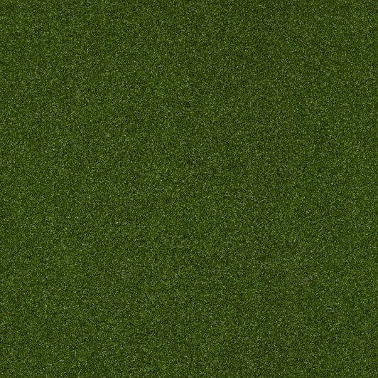 Shaw Philadelphia Park Central 54635 Indoor Outdoor Turf Carpet