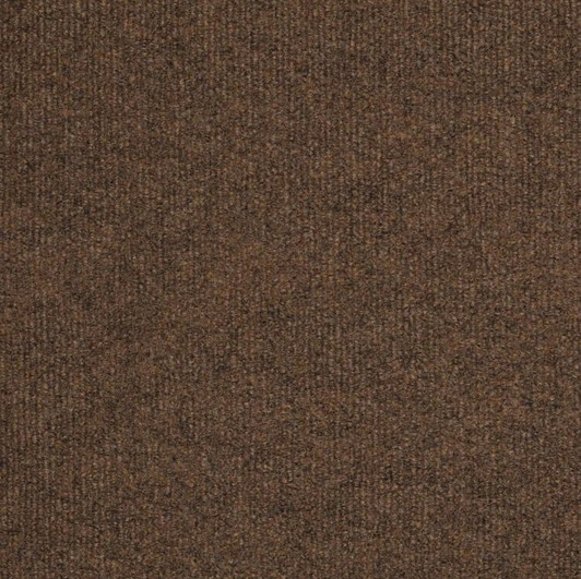 Shaw Philadelphia Windsurf 54688 Indoor Outdoor Turf Carpet
