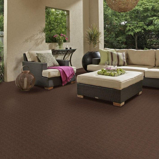 Shaw Philadelphia Commons II 54693 Indoor Outdoor Turf Carpet Room Scene