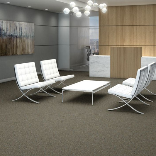 Buy Shaw Philadelphia Zing Tile Carpet at Georgia Carpet
