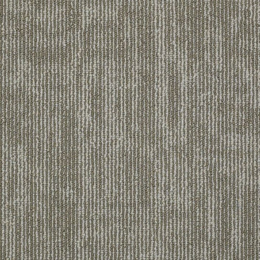 Shaw Philadelphia Duo Carbon Copy 54806 Commercial Carpet