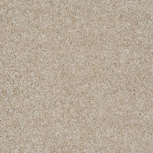 Shaw Philadelphia Exclusive Idle Time 54836 Commercial Carpet