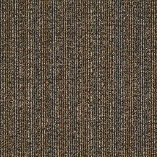 Shaw Philadelphia Step On It 54587 Commercial Carpet