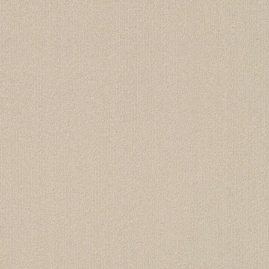 Shaw Philadelphia Color Accents 9x36 54858 Commercial Carpet Tile