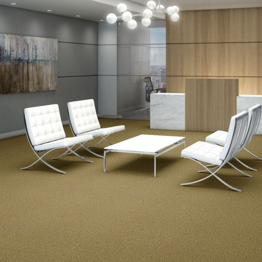 Shaw Philadelphia Color Accents 54462 Commercial Carpet Tile Room Scene