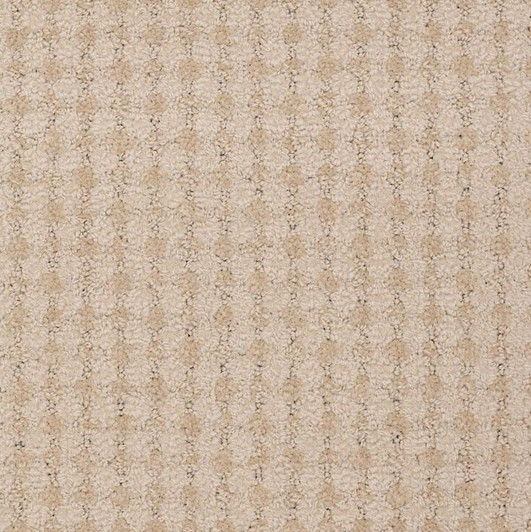 Shaw Philadelphia About Town Metro Life 54411 Colors Commercial Carpet Tile
