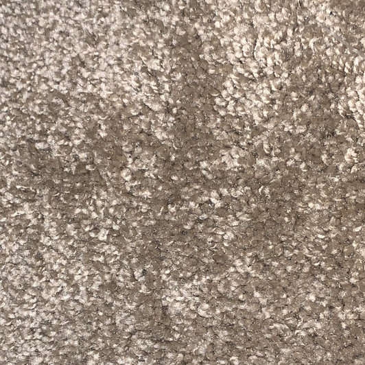 DreamWeaver Tranquility 513 Square Feet 45 oz. Residential Carpet Final Sale FREE SHIPPING