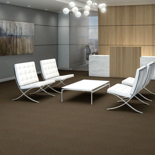 Shaw Philadelphia Hot Circuit 54417 Commercial Carpet Room Scene