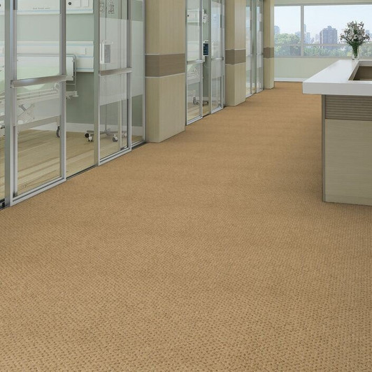 Shaw Philadelphia Legend Falls 54266 Commercial Carpet Room Scene