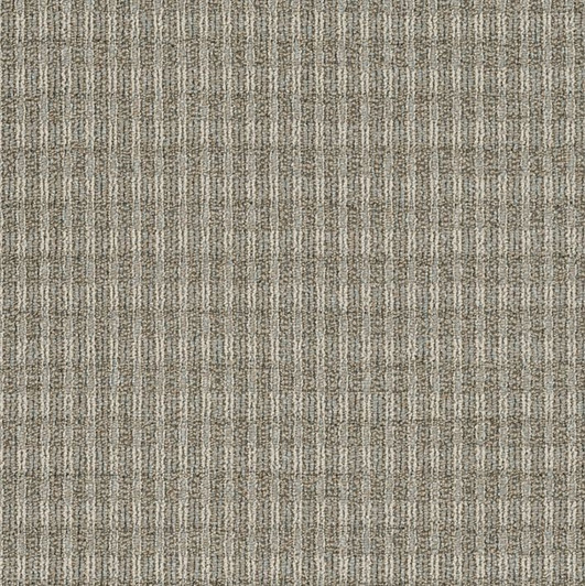 Shaw Philadelphia Fair Shake 54831 Commercial Carpet