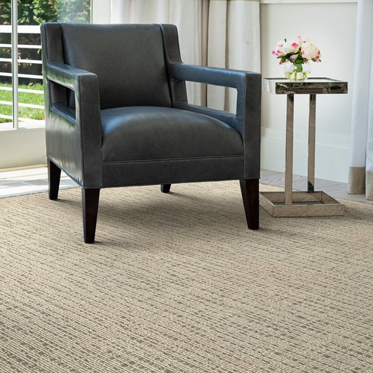 Stanton Natural Wonders Meadowlands Wool Blend Residential Carpet Room Scene
