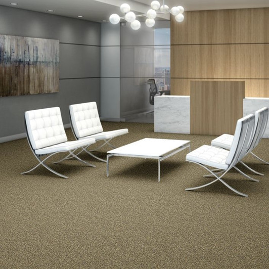 Shaw Philadelphia Franchise II 26 54745 Commercial Carpet Room Scene