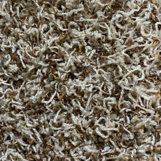 Buy Carpet Special 387 SF Carpet for 430 Free Shipping