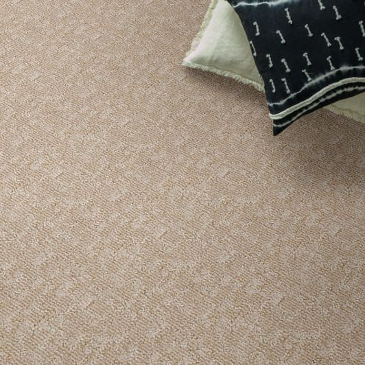 Anderson Tuftex Kindred Collection Paw-Tay ZZ221 Residential Carpet Room Scene