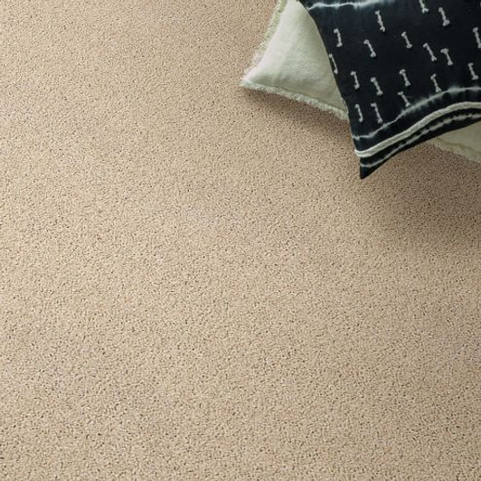 Shaw Anderson Tuftex Acadia Park ZZ044 Residential Carpet Room Scene