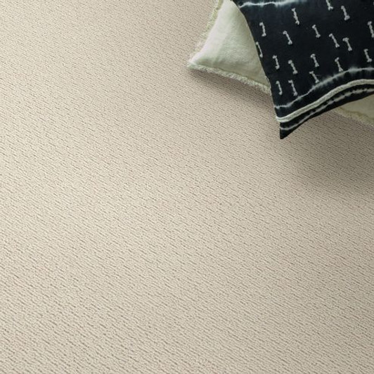 Shaw Anderson Tuftex Casual Life Z6812 Residential Carpet Room Scene