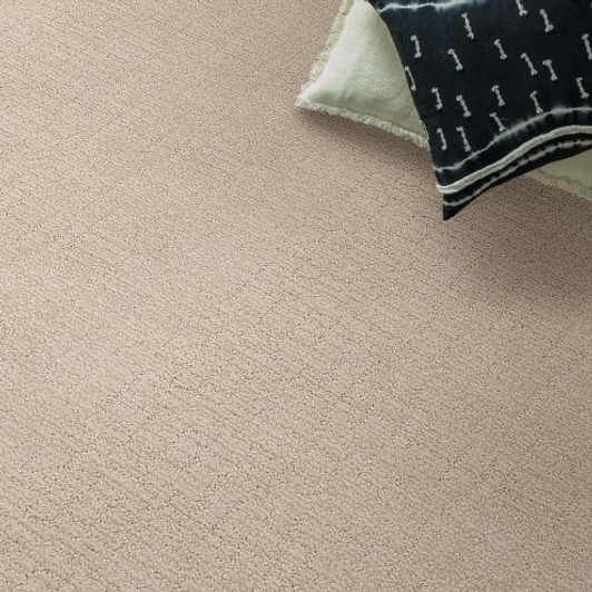 Shaw Anderson Tuftex Classics Collection Wanderer ZZ224 Residential Carpet Room Scene