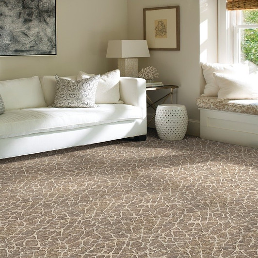 Stanton Relax Pulse Polysilk Blend Residential Carpet Room Scene